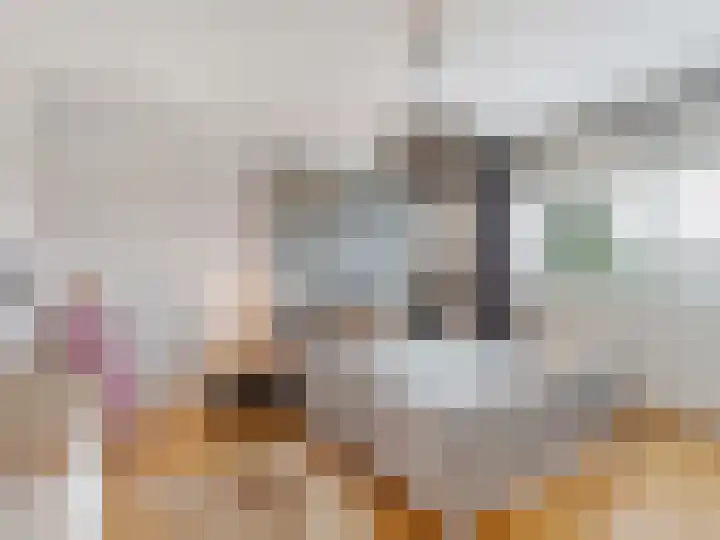 Catharinaplaatjes 26 De Meern thumbnail 5