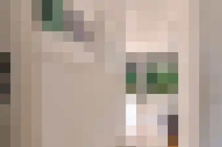 Catharinaplaatjes 6 De Meern thumbnail 14