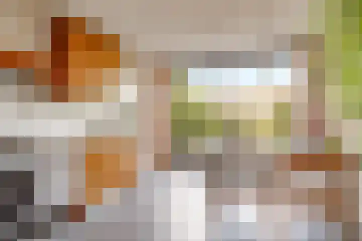 Catharinaplaatjes 6 De Meern thumbnail 16