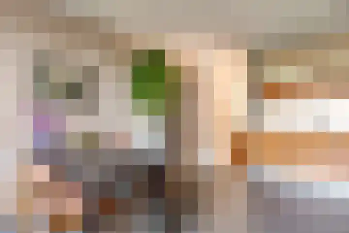 Catharinaplaatjes 6 De Meern thumbnail 19