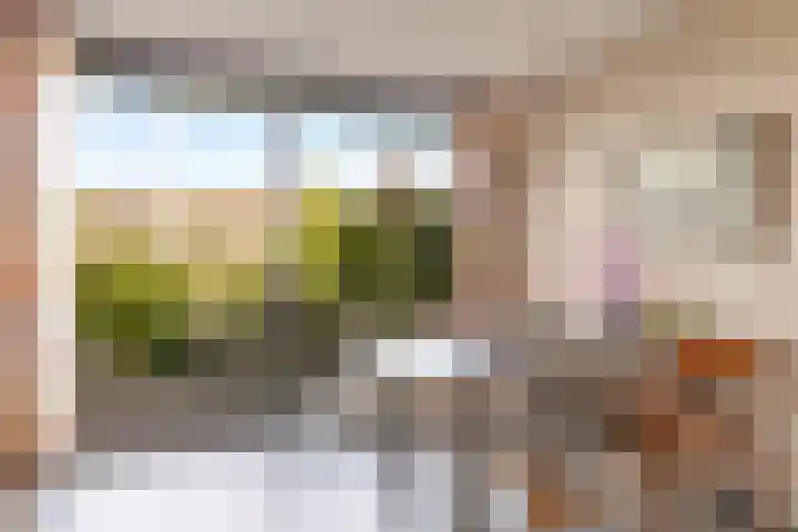 Catharinaplaatjes 6 De Meern thumbnail 20