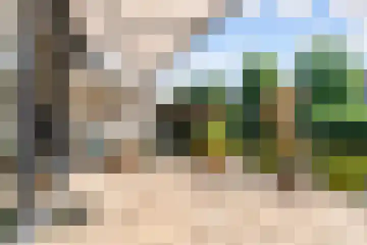 Catharinaplaatjes 6 De Meern thumbnail 23