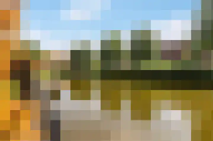Catharinaplaatjes 6 De Meern thumbnail 24