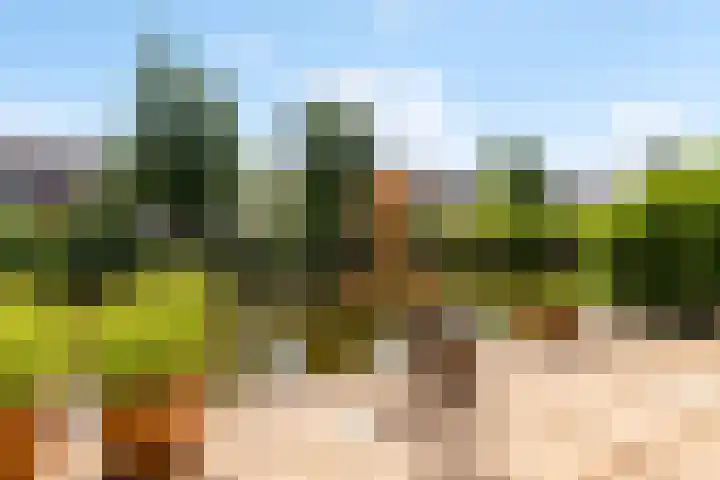 Catharinaplaatjes 6 De Meern thumbnail 26