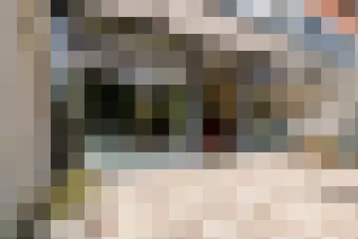 Catharinaplaatjes 6 De Meern thumbnail 27