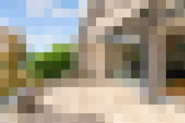 Catharinaplaatjes 6 De Meern thumbnail 29