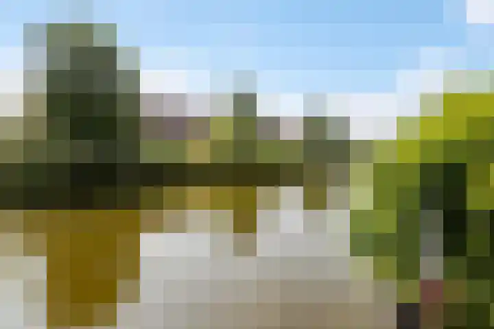 Catharinaplaatjes 6 De Meern thumbnail 30