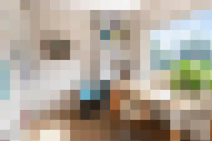 Catharinaplaatjes 6 De Meern thumbnail 37