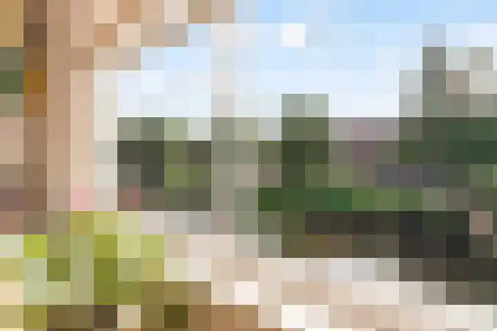 Catharinaplaatjes 6 De Meern thumbnail 39