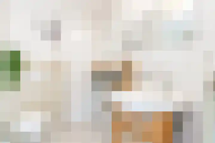 Catharinaplaatjes 6 De Meern thumbnail 45