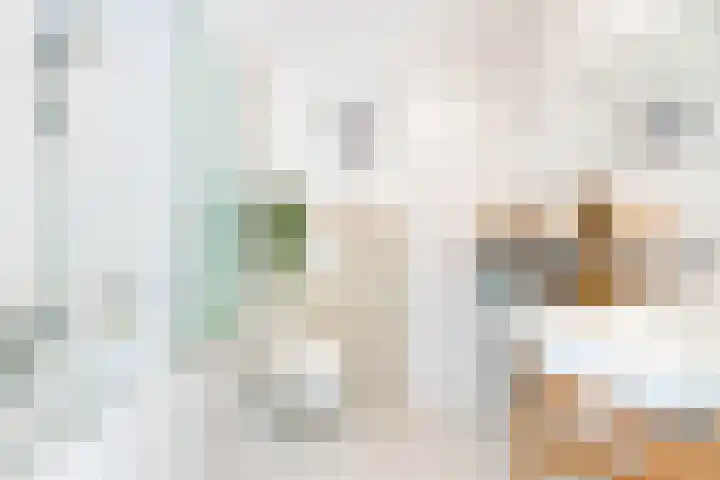 Catharinaplaatjes 6 De Meern thumbnail 46