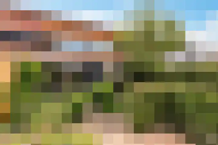Catharinaplaatjes 6 De Meern thumbnail 47