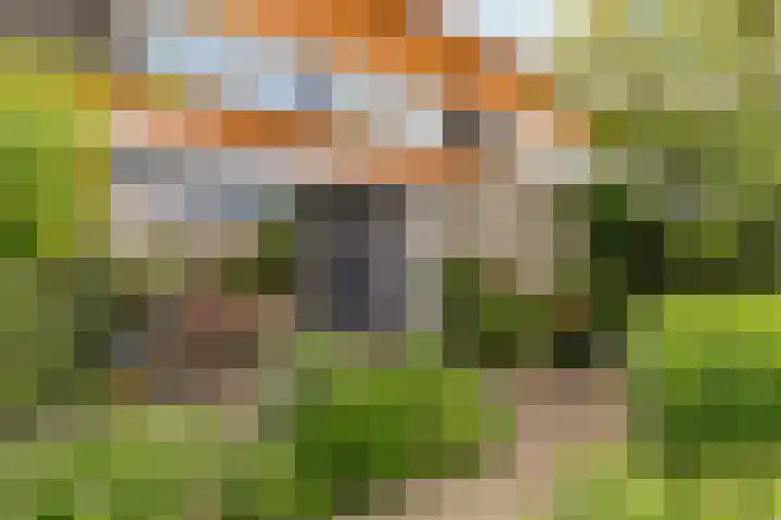 Catharinaplaatjes 6 De Meern thumbnail 48