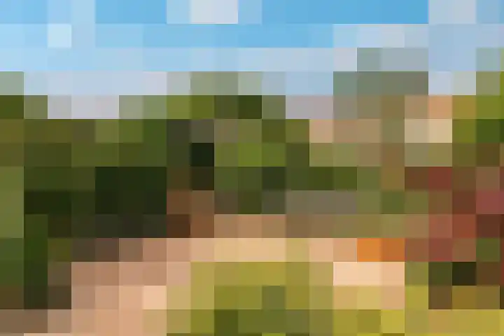 Catharinaplaatjes 6 De Meern thumbnail 49