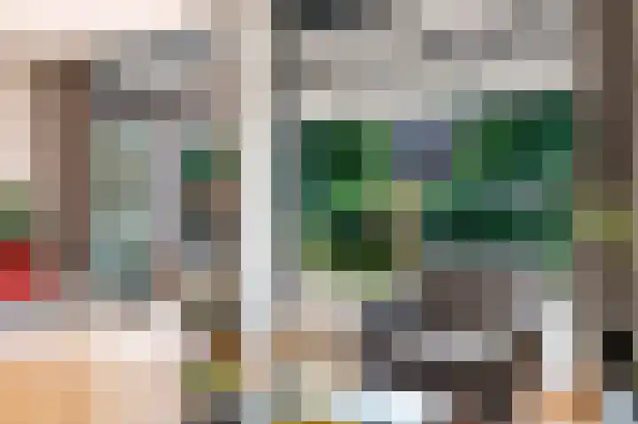 Catharinaplaatjes 6 De Meern thumbnail 5