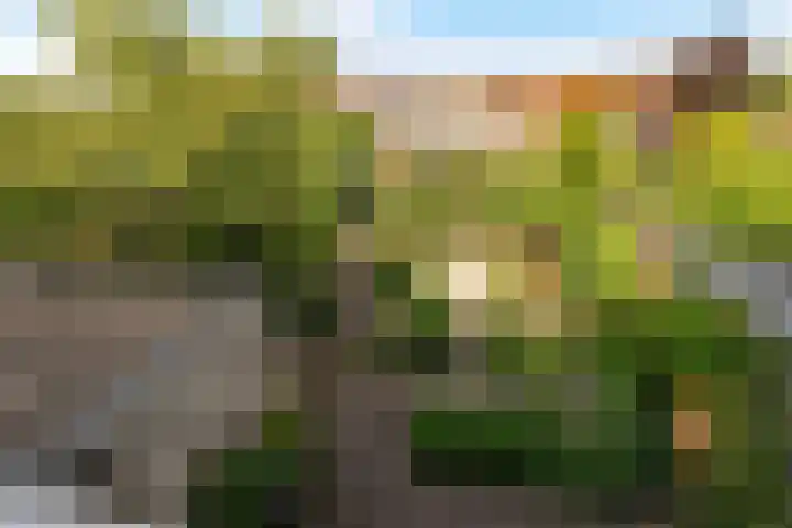 Catharinaplaatjes 6 De Meern thumbnail 50