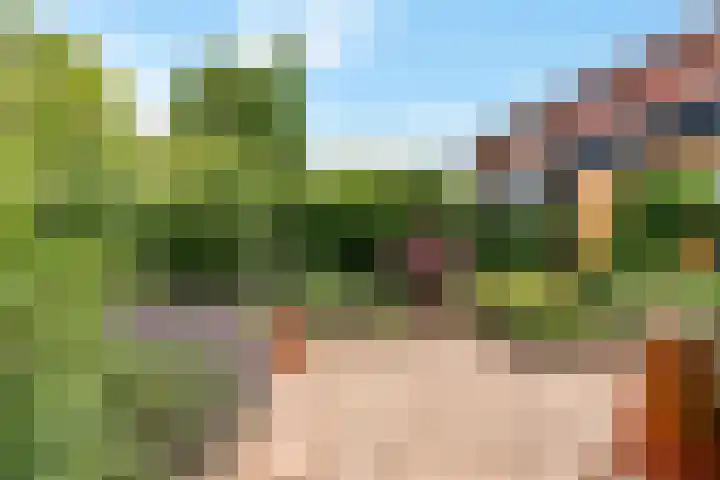 Catharinaplaatjes 6 De Meern thumbnail 51
