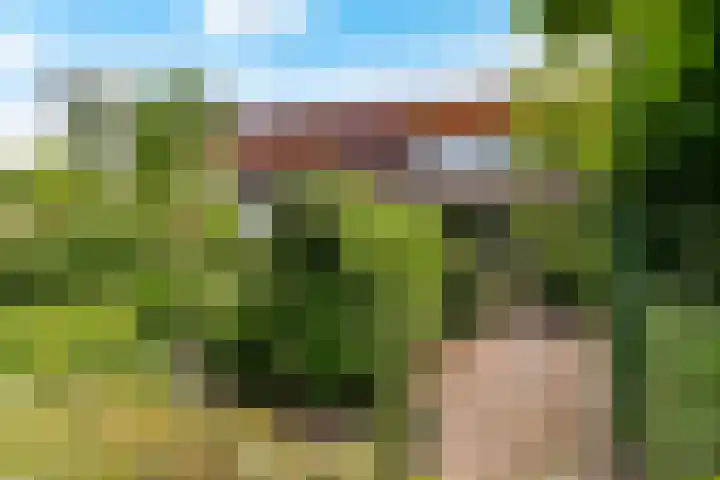Catharinaplaatjes 6 De Meern thumbnail 52