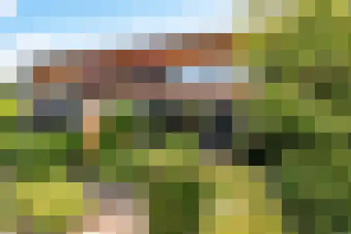 Catharinaplaatjes 6 De Meern thumbnail 53