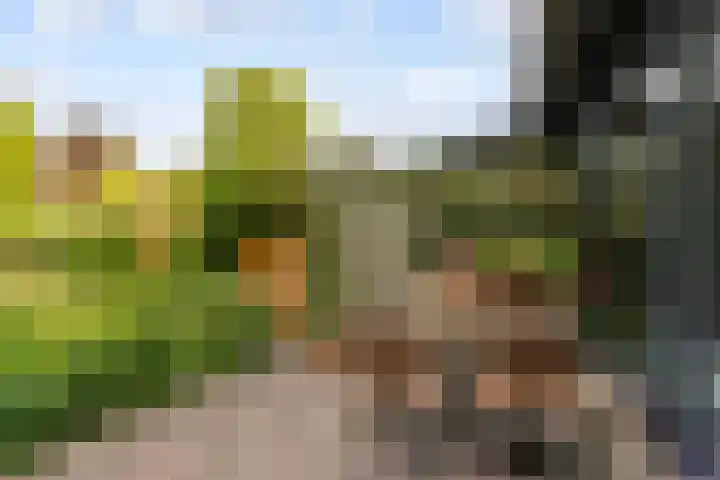 Catharinaplaatjes 6 De Meern thumbnail 56