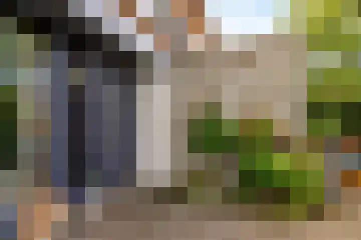 Catharinaplaatjes 6 De Meern thumbnail 57
