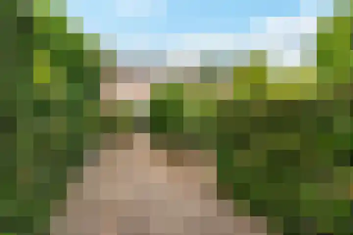 Catharinaplaatjes 6 De Meern thumbnail 58