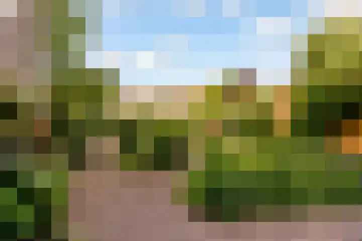 Catharinaplaatjes 6 De Meern thumbnail 59