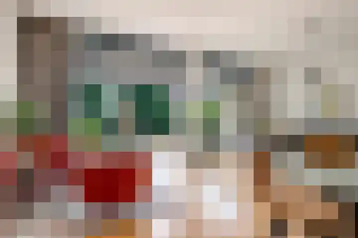 Catharinaplaatjes 6 De Meern thumbnail 6