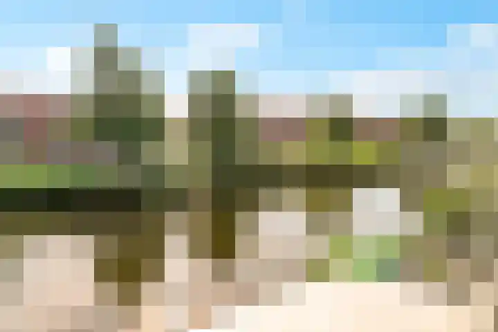 Catharinaplaatjes 6 De Meern thumbnail 60