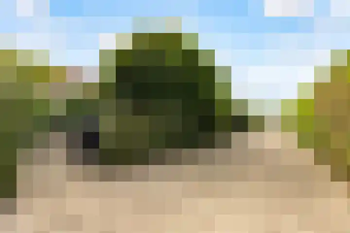 Catharinaplaatjes 6 De Meern thumbnail 61