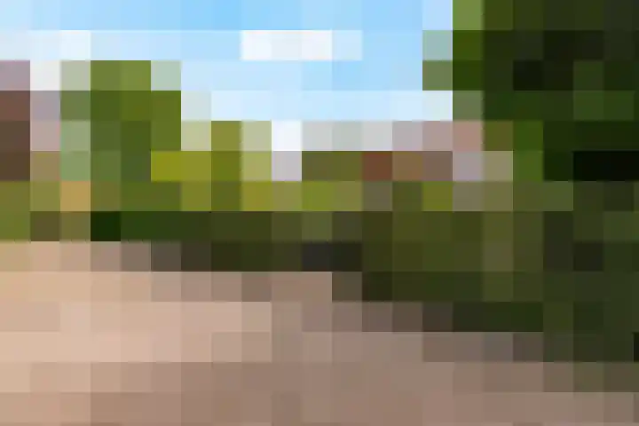 Catharinaplaatjes 6 De Meern thumbnail 62