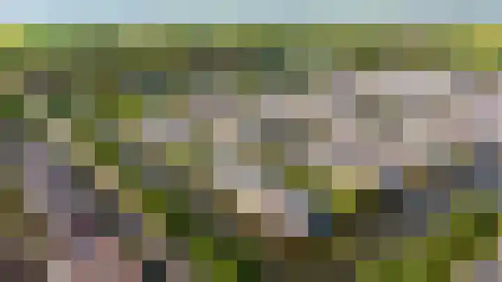 Catharinaplaatjes 6 De Meern thumbnail 67