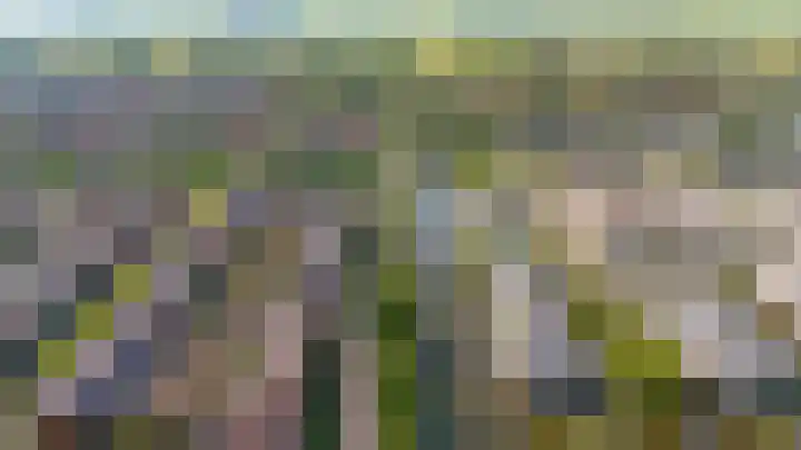 Catharinaplaatjes 6 De Meern thumbnail 68