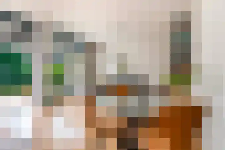 Catharinaplaatjes 6 De Meern thumbnail 8