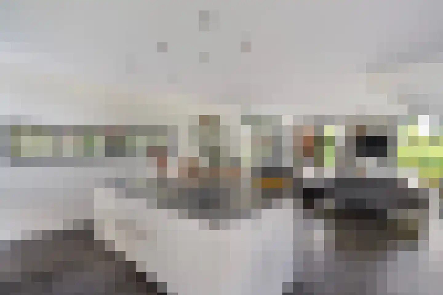 Catharinapolder 7 Barendrecht thumbnail 11