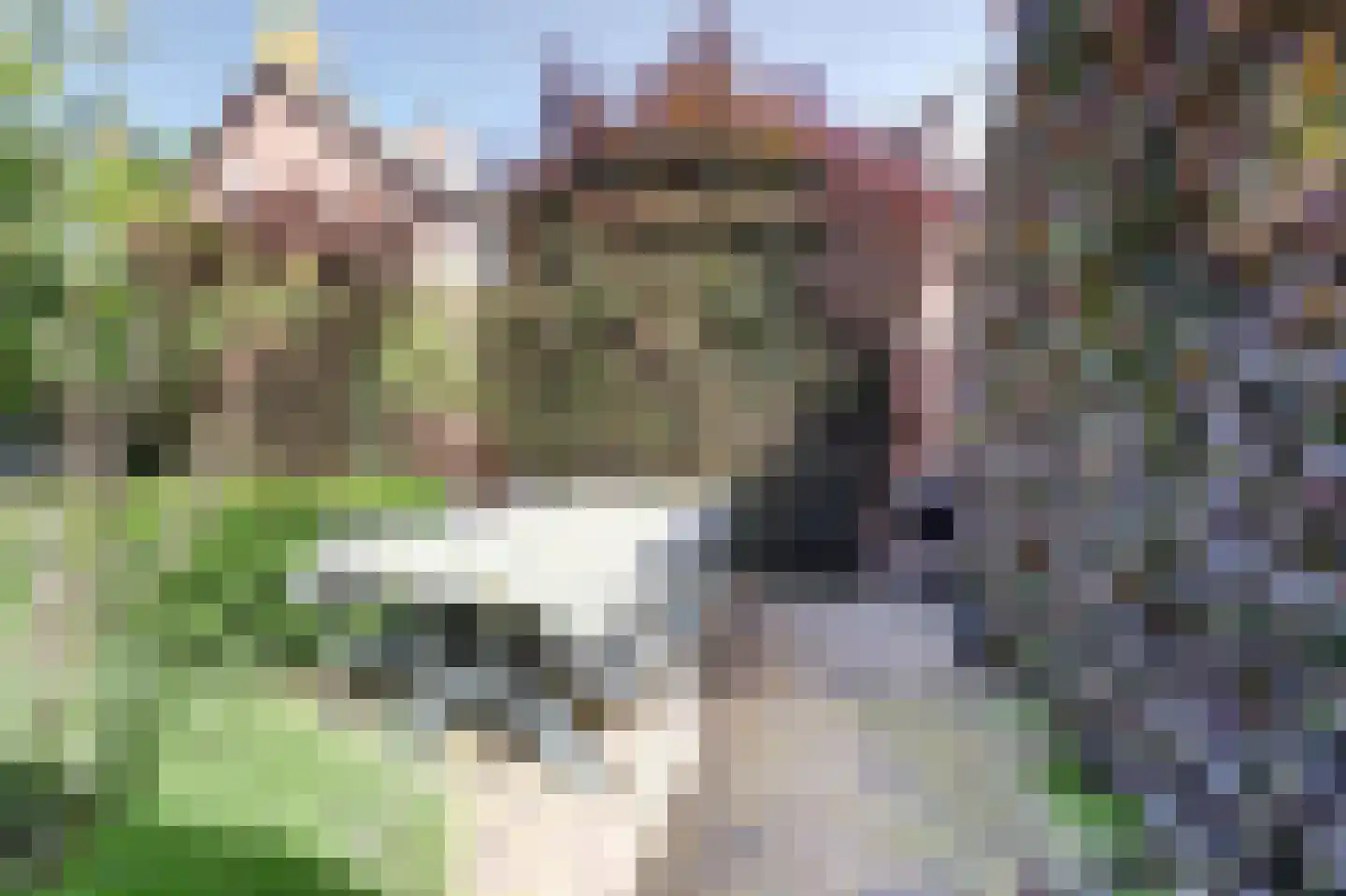 Catharinastraat 10 Helvoirt thumbnail 38