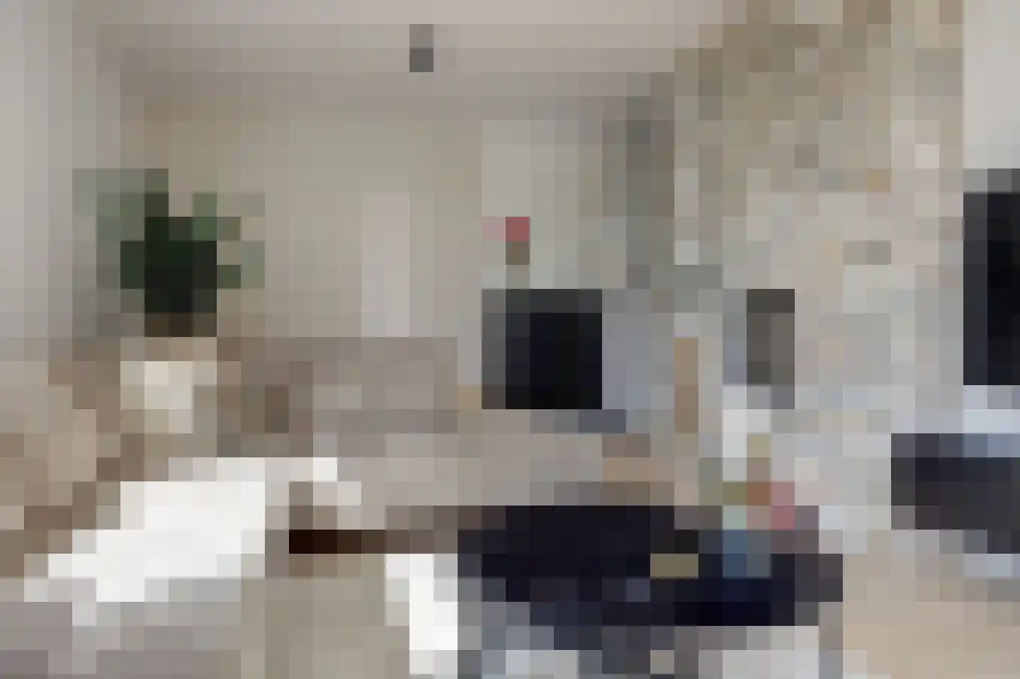 Catharinastraat 10 Helvoirt thumbnail 4