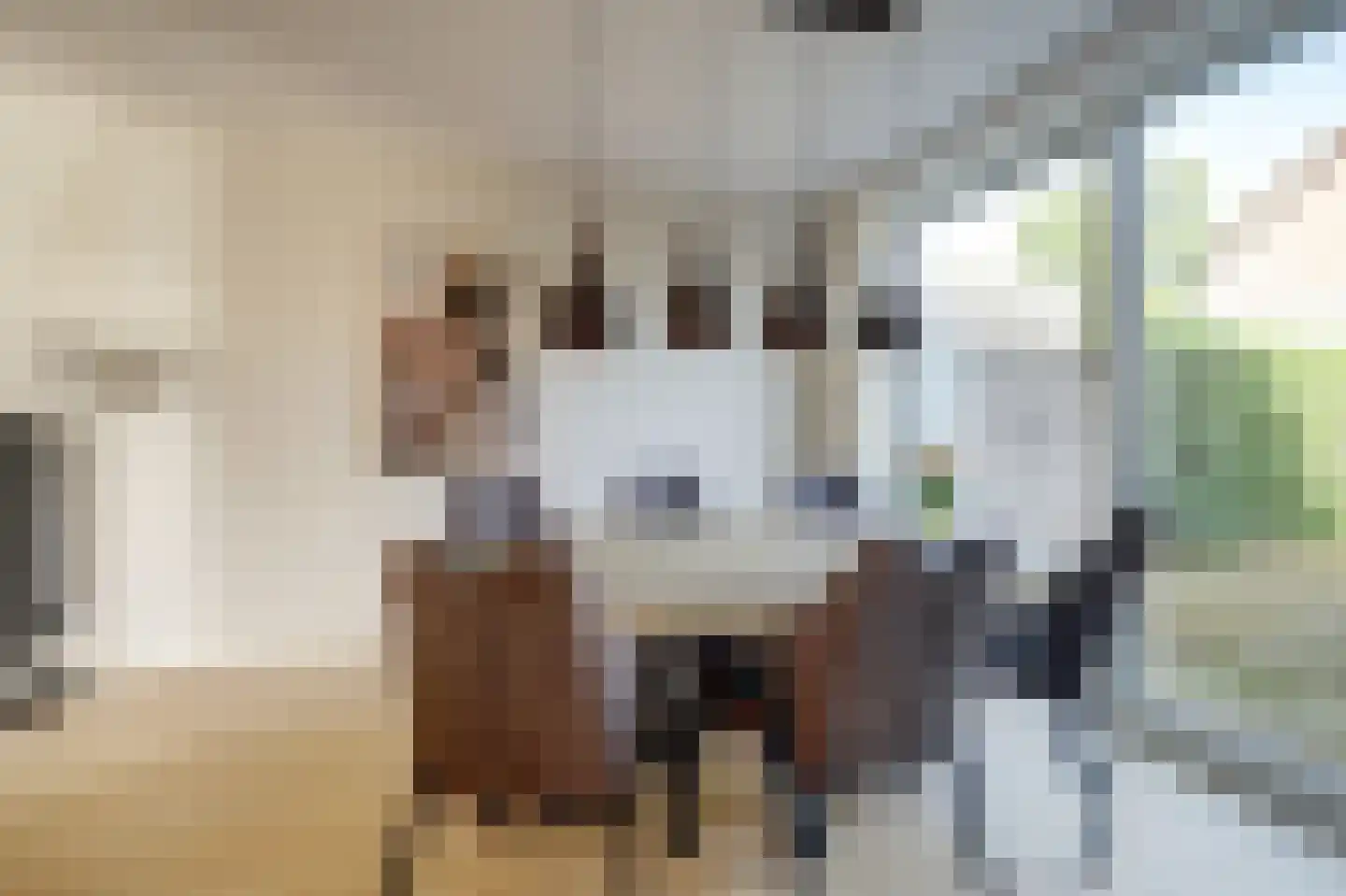 Catharinastraat 10 Helvoirt thumbnail 7