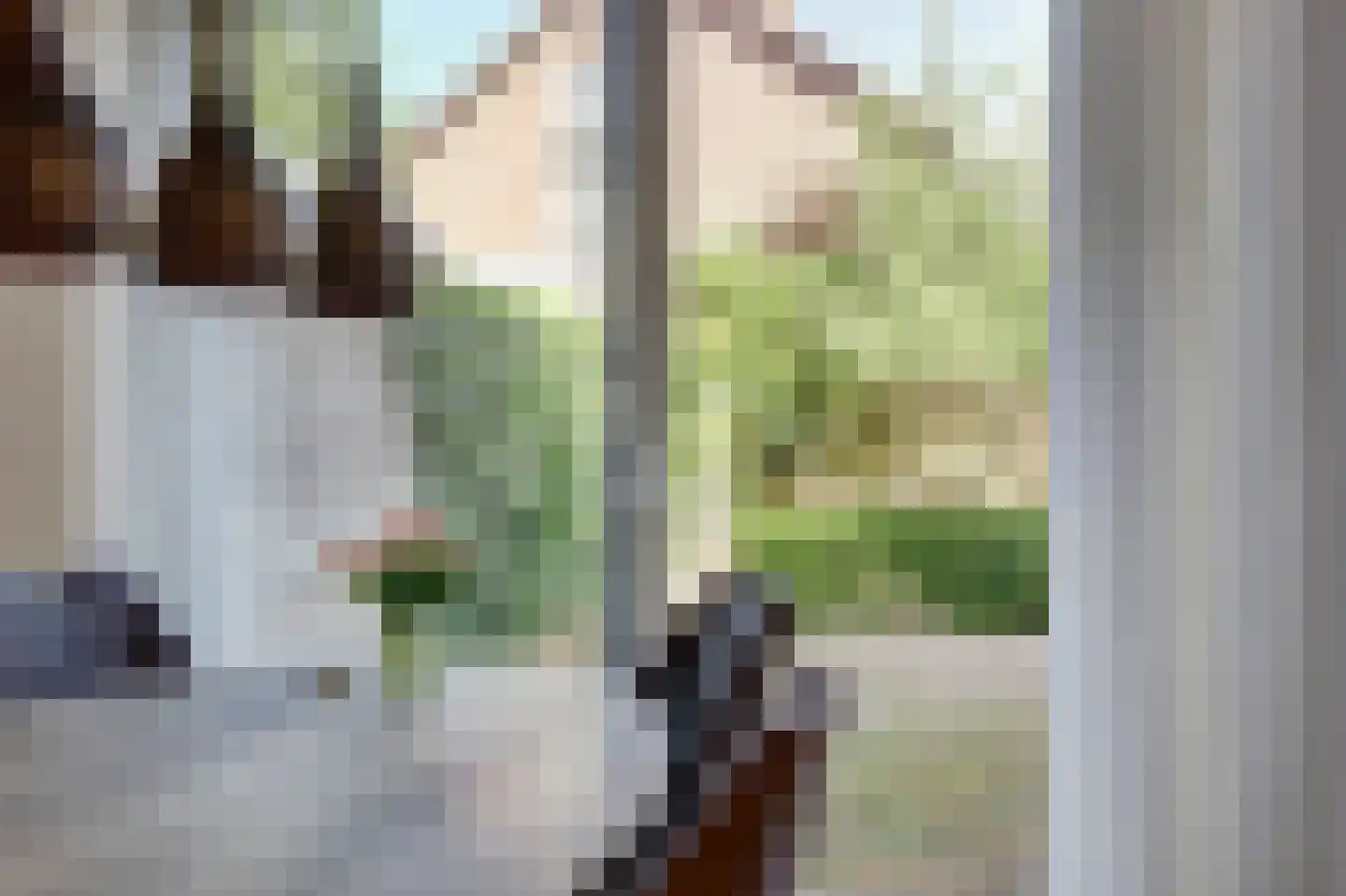 Catharinastraat 10 Helvoirt thumbnail 8
