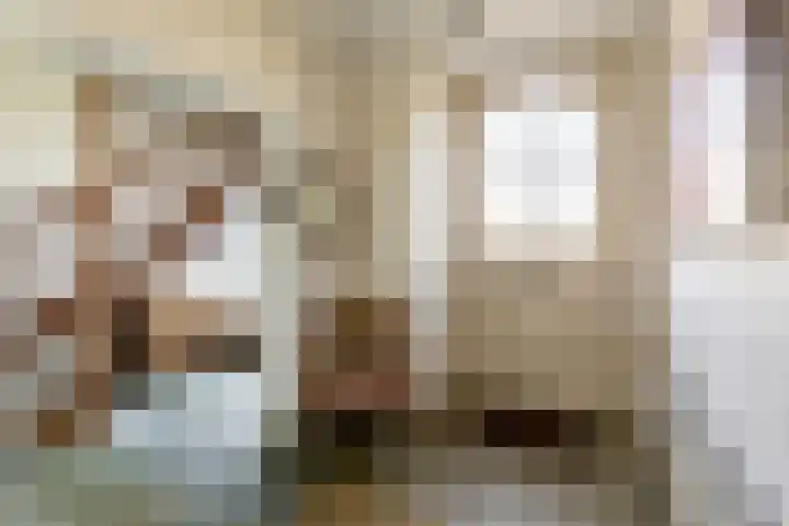 Catharinastraat 11 Helvoirt thumbnail 11