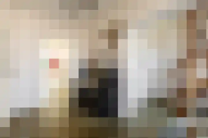 Catharinastraat 11 Helvoirt thumbnail 12