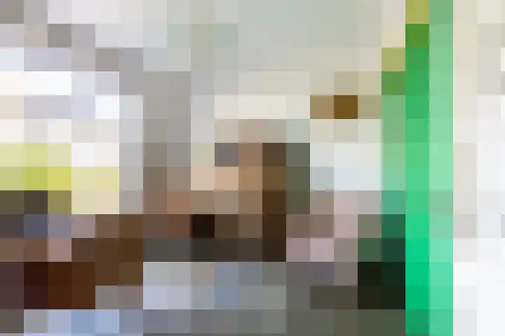 Catharinastraat 11 Helvoirt thumbnail 13