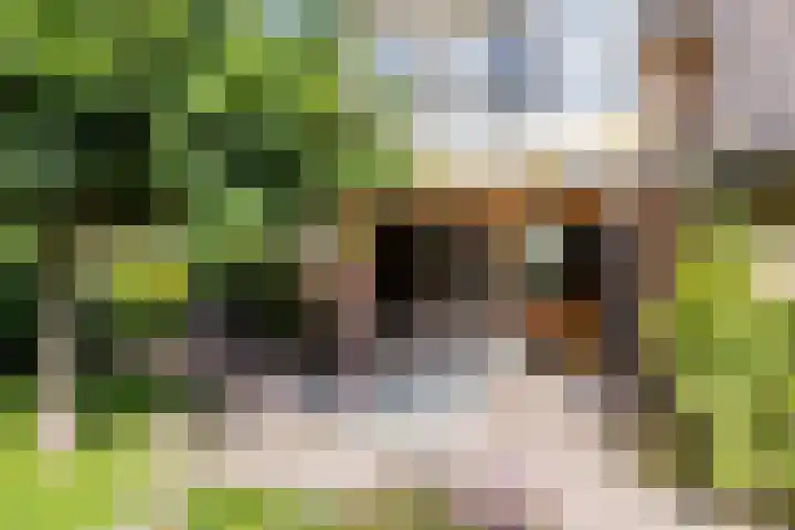 Catharinastraat 11 Helvoirt thumbnail 29