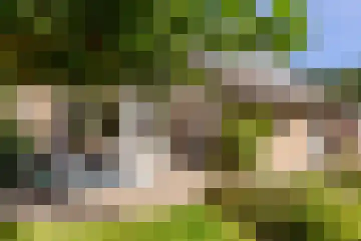 Catharinastraat 11 Helvoirt thumbnail 30