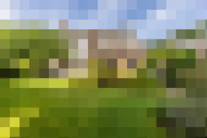 Catharinastraat 11 Helvoirt thumbnail 31