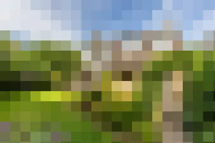 Catharinastraat 11 Helvoirt thumbnail 32