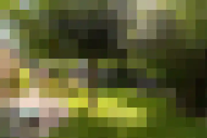 Catharinastraat 11 Helvoirt thumbnail 33
