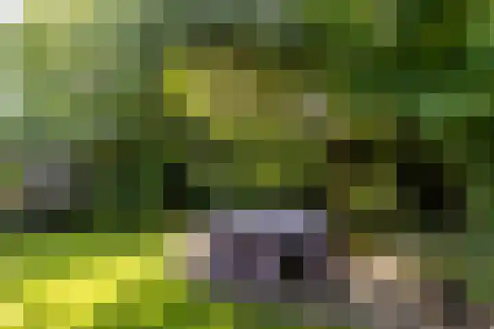 Catharinastraat 11 Helvoirt thumbnail 34