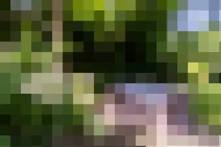 Catharinastraat 11 Helvoirt thumbnail 35