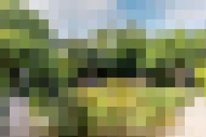 Catharinastraat 11 Helvoirt thumbnail 36